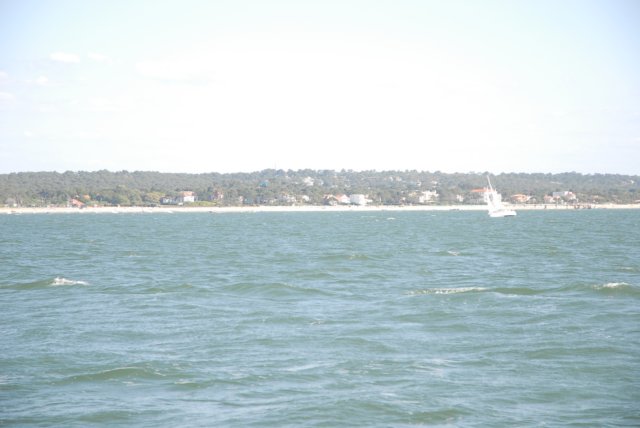 dsc_0288.jpg