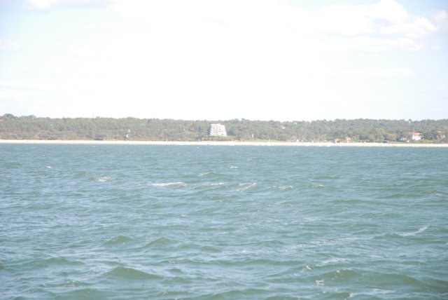 dsc_0290.jpg