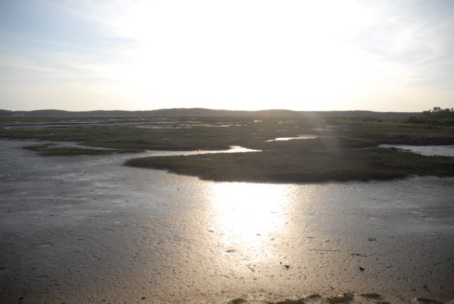 dsc_0345.jpg