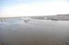 dsc_0356_small.jpg