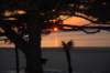 dsc_0506_small.jpg