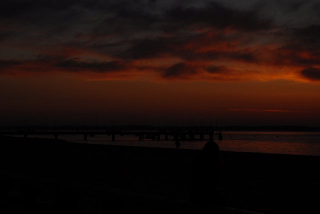 dsc_0532.jpg