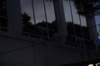 dsc_0541_small.jpg