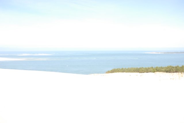 dsc_0584.jpg