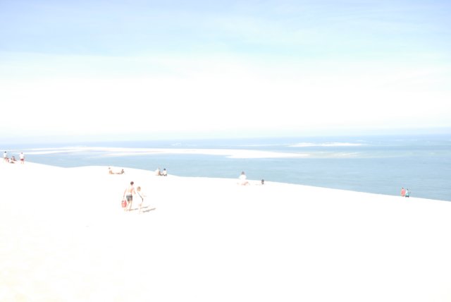 dsc_0590.jpg