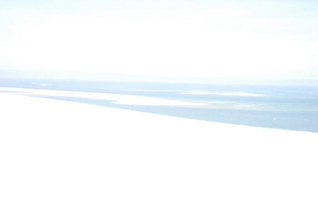 dsc_0595.jpg