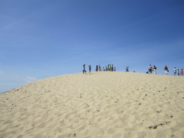 img_3955.jpg