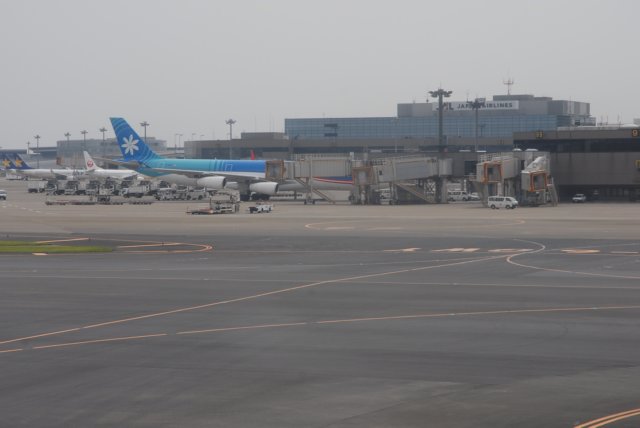 dsc_0665.jpg