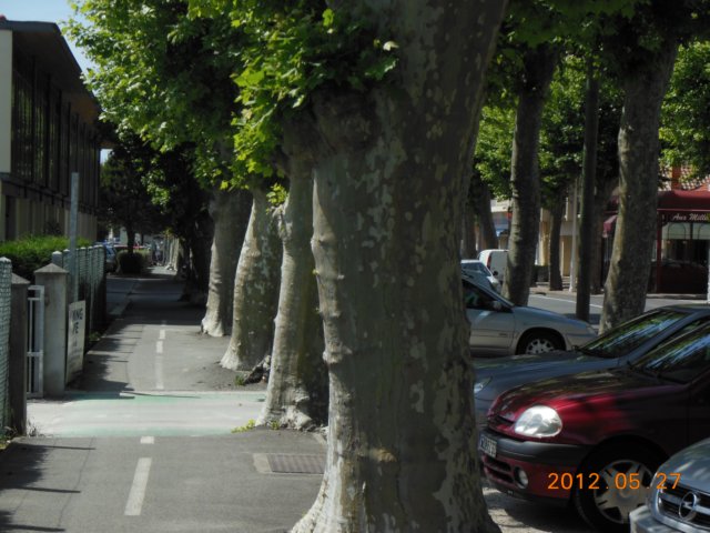 dscn0118.jpg