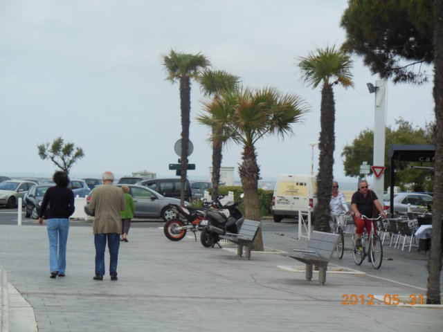 dscn0401.jpg