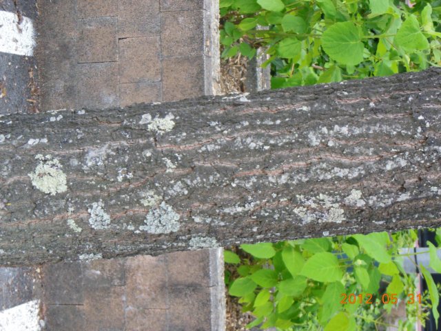 dscn0421.jpg