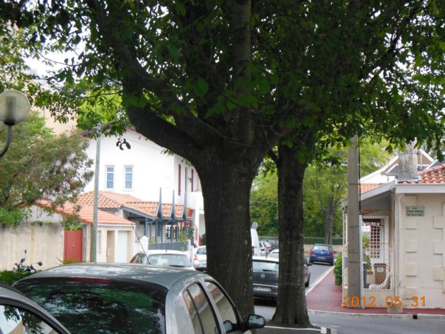 dscn0423.jpg