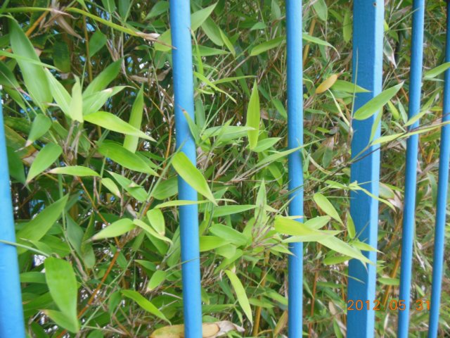 dscn0427.jpg