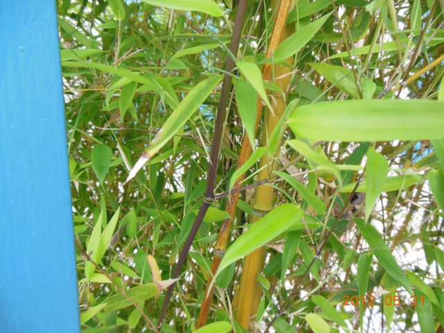 dscn0428.jpg