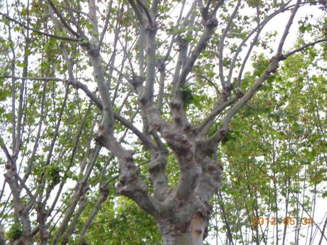 dscn0462.jpg