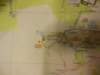 dscn0478_small.jpg