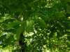 dscn0769_small.jpg