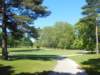 dscn0771_small.jpg