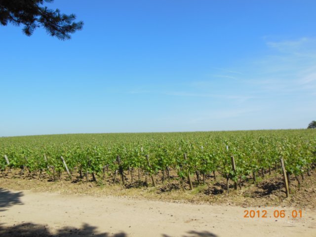 dscn0773.jpg