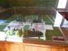 dscn0777_small.jpg
