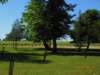 dscn0806_small.jpg