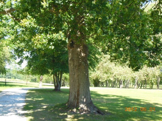 dscn0809.jpg