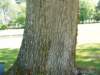 dscn0810_small.jpg