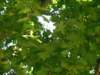 dscn0812_small.jpg