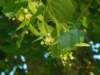 dscn0814_small.jpg