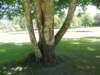 dscn0815_small.jpg
