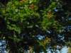 dscn0818_small.jpg