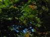 dscn0819_small.jpg