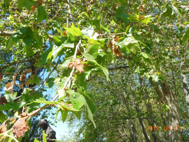 dscn0821.jpg