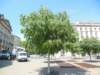 dscn0570_small.jpg