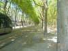 dscn0580_small.jpg