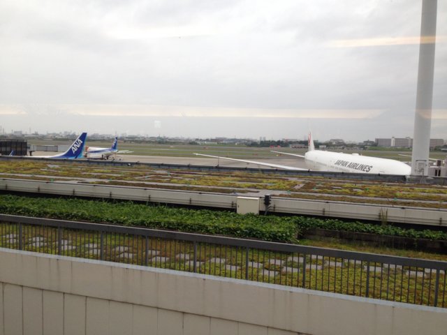 img_7916.jpg