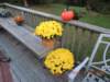 dscn3582_small.jpg