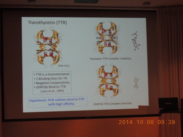 dscn3731.jpg