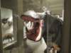 dscn3919_small.jpg