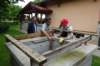 dsc05745_small.jpg
