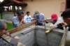 dsc05752_small.jpg