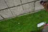 dsc05775_small.jpg