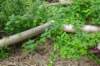 dsc05812_small.jpg