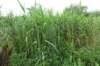 dsc05813_small.jpg