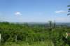 dsc05831_small.jpg