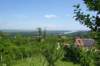 dsc05832_small.jpg