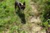dsc05835_small.jpg