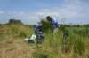 dsc05850_small.jpg