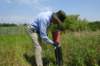 dsc05858_small.jpg