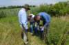 dsc05863_small.jpg